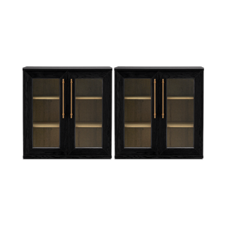 Blake Modular Storage Cabinet Acrylic, Black Oak