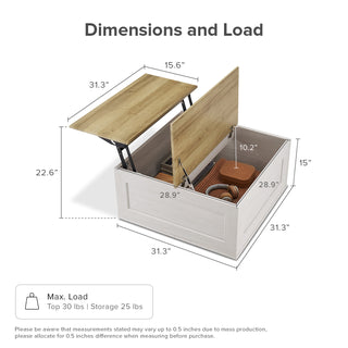 Blake Lift Top Chest Coffee Table with Storage, White Oak