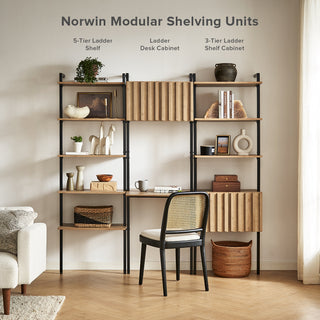 Norwin Modular Ladder Shelving (Set of 3)