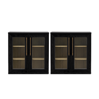 Blake Modular Storage Cabinet Acrylic, Black Oak Set of 2