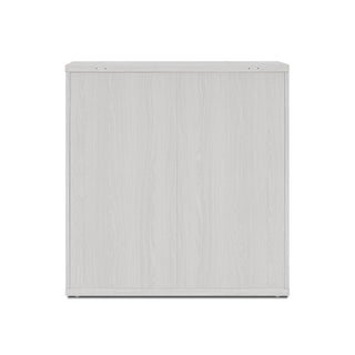 Blake Modular Storage Cabinet Acrylic, White Oak Set of 2 - angle view