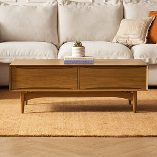 Retrovie Mid-Century Modern 47" Storage Coffee Table