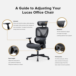 Lucas Ergonomic Mesh Office Chair with Lumbar Support