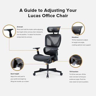 Sterling Standing Desk (Walnut) + Lucas Ergonomic Mesh Office Chair