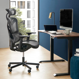 Sterling Standing Desk (Walnut) + Lucas Ergonomic Mesh Office Chair