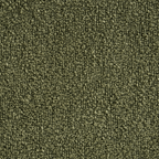Kelp Green