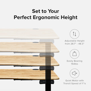 Sterling Standing Desk (Natural) + Lucas Ergonomic Mesh Office Chair