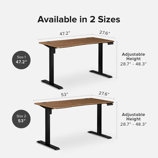 Sterling Standing Desk (Walnut) + Lucas Ergonomic Mesh Office Chair